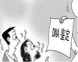 合肥落户亲子鉴定机构预约电话(附鉴定中心电话)